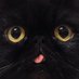 4913 (@f420fg) Twitter profile photo 4913 (@f420fg) Twitter profile photo
