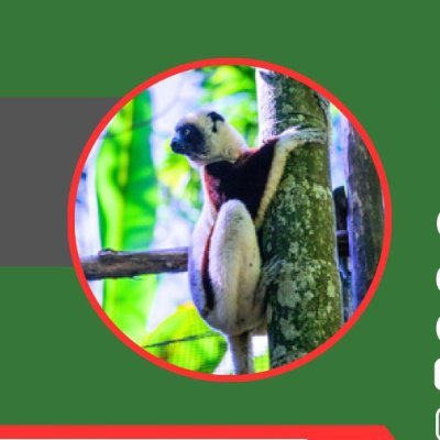 MaxNosy21387's profile picture. Your local guide in Nosey-Be.
 Certificate in tourism. 
Create unforgettable memories and explore the wonders of Nosy-Be with a local fluent in English & French