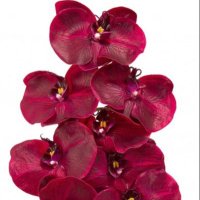 vicki ✮ (@victoria_ah0) 's Twitter Profile Photo