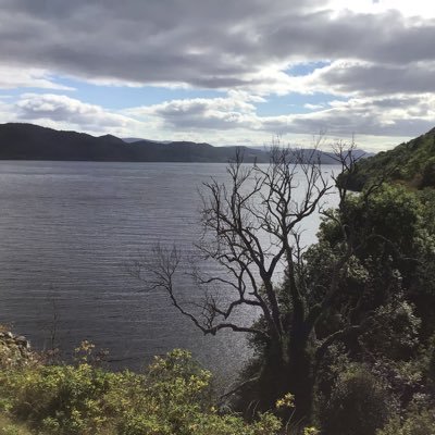 PatriciaZielin7's profile picture. Perky, lively senior who runs!