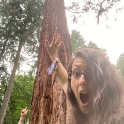 colette95465's profile picture. Always learning in teaching. History Teacher