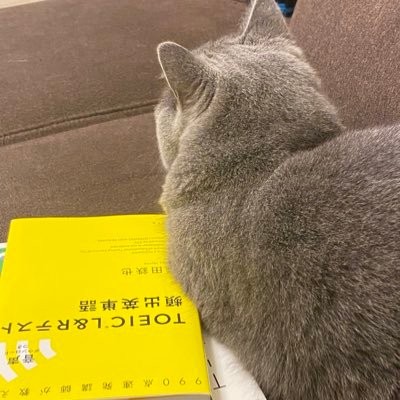 勉強することが好きです📚✏️夢は英語を使う仕事に就くこと🔤同じく勉強が好きな方と仲良くなりたい✨無言フォロー失礼いたします🙇♀️ブログもやってます💻取得した主な資格→宅建士/FP3級/英検2級/漢検2級/簿記3級 TOEIC現在645点(年内700点越えします)