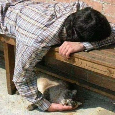vivalavidaviv's profile picture.
