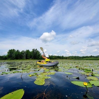 Proud🇨🇦 Nature lover, photography #ClimateChange #Democracy #WomensRights #LGBTQSupporter 💚🌲🌎♻️🌻