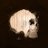nrherr01's profile image