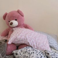 ReWana🦩 . (@rannq2) 's Twitter Profile