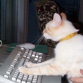 endministrate's profile picture. 