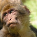 JIMMY MANUEL CELI - @CELIJIMMY - Twitter