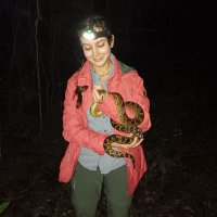 Sarah Saadain (@sarahsaadain) 's Twitter Profile