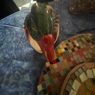 orangeuxx's profile picture. orange pressée sous agrumes bestie de fraiseux                                      @orangediscrete