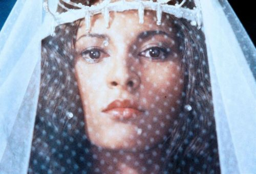 CultureRef's profile picture. 