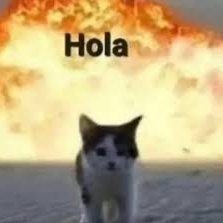 Perro salchicha gordo bachicha
https://t.co/emBZR9CJbE