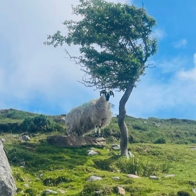 Margare45125811's profile picture. as I am