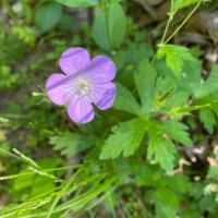 sara (@sara69675041) 's Twitter Profile Photo