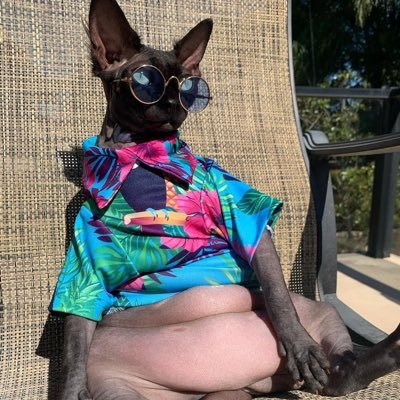 Scandolissima's profile picture. Mi piace leggere, viaggiare, e guardare programmi tv che alleggeriscono la mente…