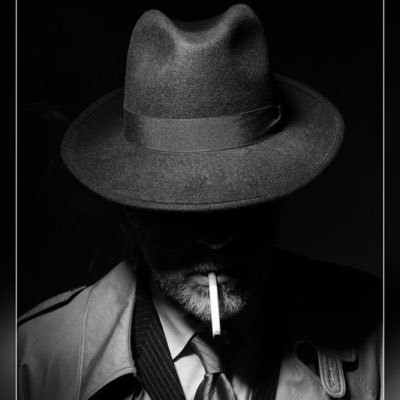 abdulazezalamer's profile picture. قط، جدار، طريق، جريدة