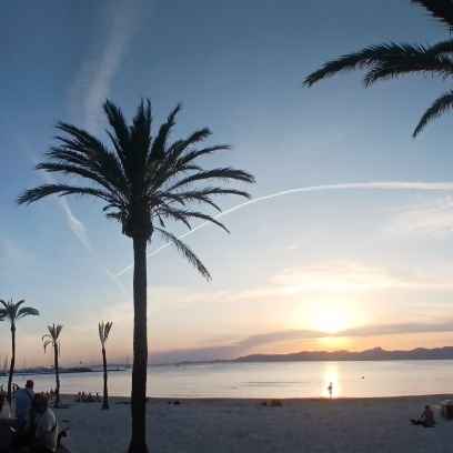 Hicetaon's profile picture. 