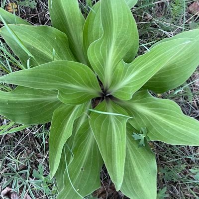 NowInHighDef's profile picture. 