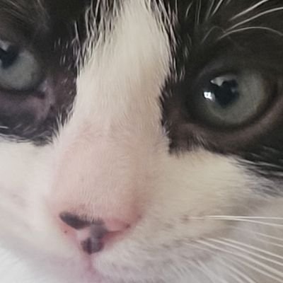 HELLOSUNSH83443's profile picture. 