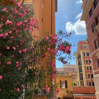 لينا (@almathamilena) 's Twitter Profile