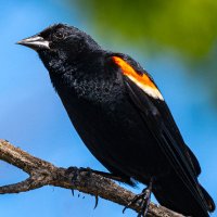 George Dinsdale (@dinsdalephoto) 's Twitter Profile Photo George Dinsdale (@dinsdalephoto) 's Twitter Profile Photo