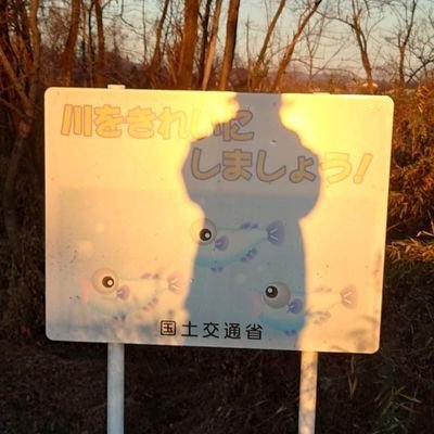 ftafyapm's profile picture. 🎣🐟地元川遊びめっちゃ大好き( •̀ᄇ• ́)ﻭ✧👍🍻🍺酒飲み料理作り大好きヤンチャなオッサンです😎