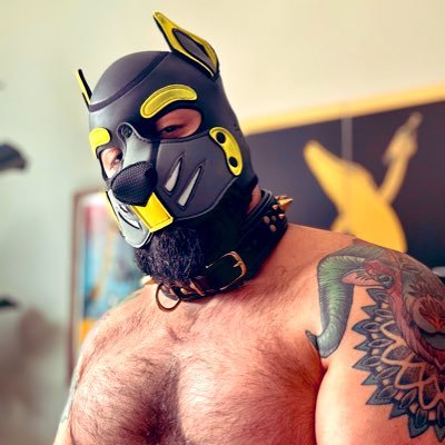 baconstations's profile picture. 35 | Wolf Dog (Riff) | Part-time pig | He/Him | Software Engineer