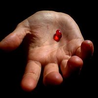 kırmızıhapıalanlar (@rednymphadora) 's Twitter Profile Photo