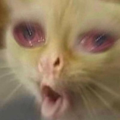 sluttmakerrr's profile picture. 