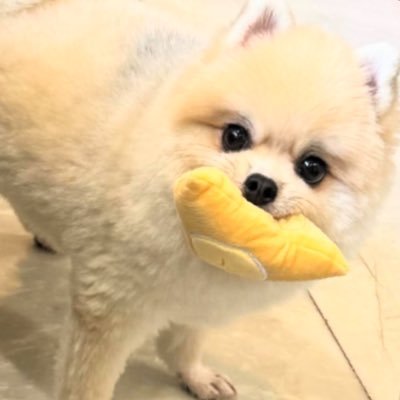 jdkyklis's profile picture. 