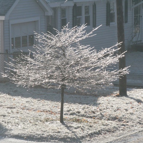 mainebookworm's profile picture. computer trainer, college instructor, tax professional, casual gamer, romance book reader (and collector), wife, daughter, sister, lover of life