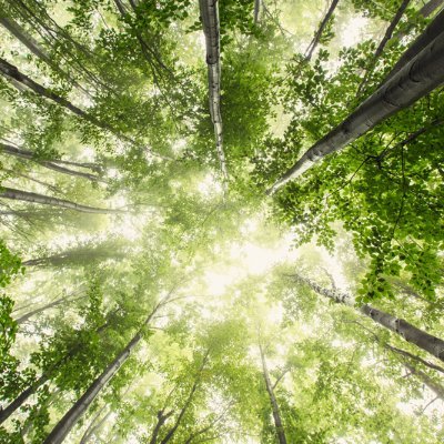 Jimmy2570096678's profile picture. 有关必回    不私聊