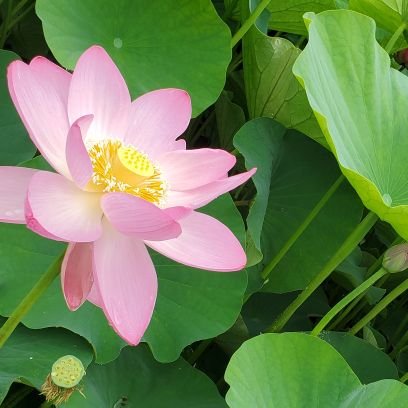 m_o_rui's profile picture. 