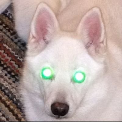 Thak23v2's profile picture. 