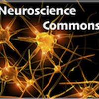 Neuroscience Commons(@NeurosciCommons) 's Twitter Profile Photo