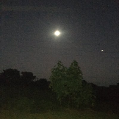 elNduna's profile picture. African ROOTS