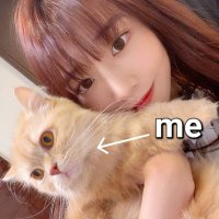 河北彩伽的貓 (@ssis413) 's Twitter Profile