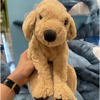 mie 🌈🐻🍵🧸💚🍯🇹🇭 (@iantopal) 's Twitter Profile