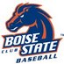 Boise State Baseball (@BoiseStateBBall) Twitter profile photo