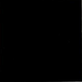 danielhive_'s profile picture. ☀️