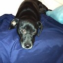 Tom Triolo - @tsquared2002 - Twitter