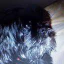 Nat George - @sushipooshi - Twitter