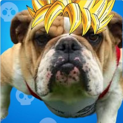 gorricabello's profile picture. 