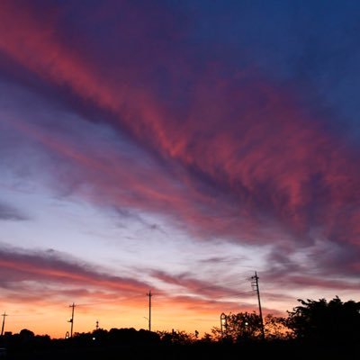 d2JSHqnpJy1031's profile picture. 男です。体以外は。