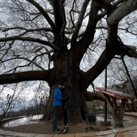 Helios (@helios_tg) Twitter profile photo