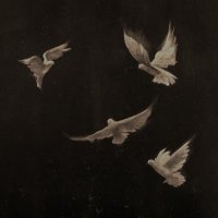Hi/Lair (@hi_lair) 's Twitter Profile