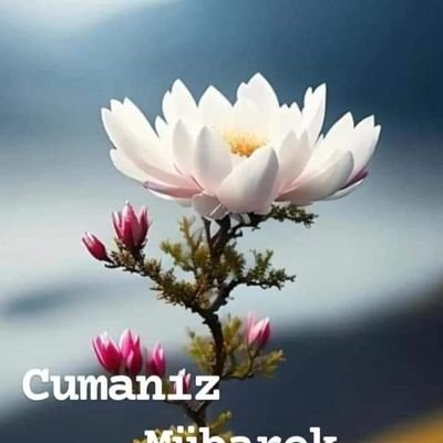 mustafa27892's profile picture. ...