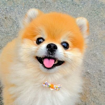 ✧✧✧✧✧