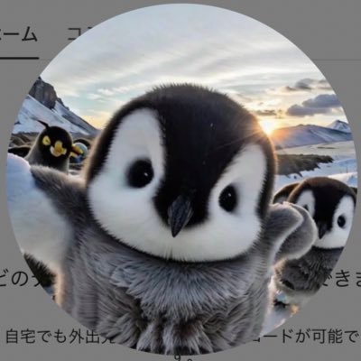 ゆめたんさんのプロフィール画像