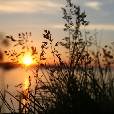 Jo_pnc's profile picture. CSUDH   MSW 2026 •Mental health